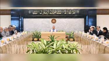 উপদেষ্টা পরিষদের বৈঠকে দুটি অধ্যাদেশ ও নতুন দূতাবাসের অনুমোদন