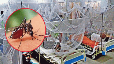 ডেঙ্গুতে আরও ৫ জনের মৃত্যু, নতুন ভর্তি ৩৮৭ জন