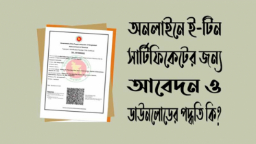 ৫০টিরও বেশি কাজে লাগে টিআইএন সনদ, পেতে পারেন ঘরে বসেই