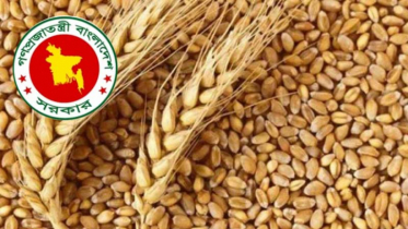 যুক্তরাষ্ট্র থেকে ২ লাখ ২০ হাজার মেট্রিক টন গম কিনবে সরকার
