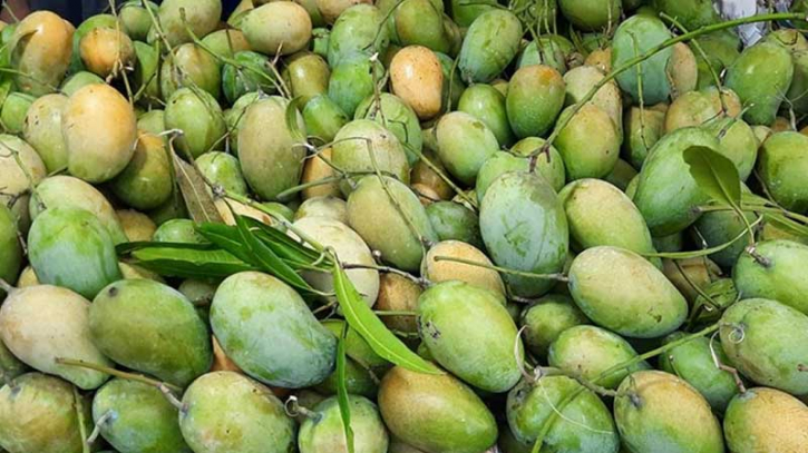 নওগাঁয় আমের উৎপাদন বেশি, রপ্তানি কম