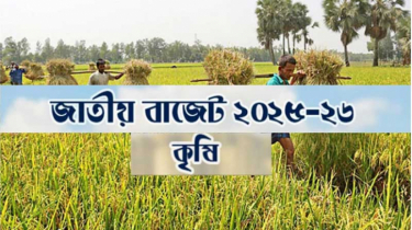 কৃষিখাতে ২৭ হাজার ২২৪ কোটি টাকার বরাদ্দ প্রস্তাব