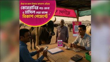 বিকাশের মাধ্যমে ২৭ হাটে কেনা যাচ্ছে কোরবানির পশু
