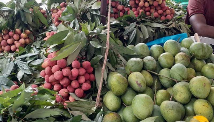 আম ও লিচু আহরণের সময়সূচি প্রকাশ