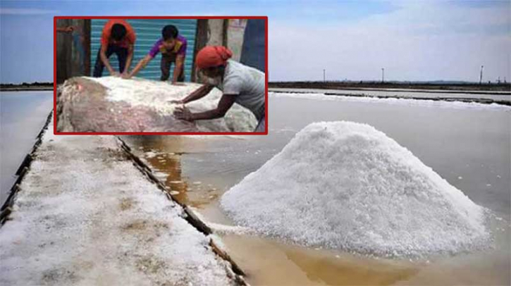 চামড়া সংরক্ষণে বিনামূল্যে ৩০ হাজার টন লবণ দেবে সরকার