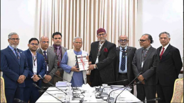 বিডিআর হত্যাকাণ্ডে স্বাধীন তদন্ত কমিশনের প্রতিবেদন দাখিল