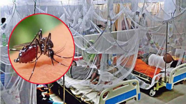 ডেঙ্গুতে আরও ৬ জনের মৃত্যু, হাসপাতালে নতুন ভর্তি ৭৮৮
