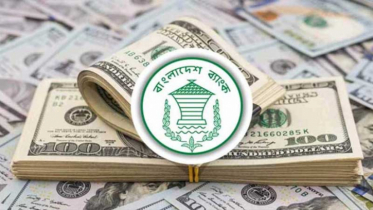 নভেম্বরের ১৫ দিনে প্রবাসী আয় বেড়েছে ২৩ শতাংশ