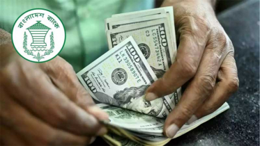 নভেম্বরের প্রথম ১২ দিনে রেমিট্যান্স প্রবাহ ৩৯.৬ শতাংশ বৃদ্ধি