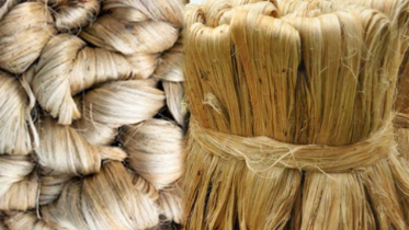 ৩১ ডিসেম্বর পর্যন্ত পাট রপ্তানিকারকদের ঋণ পুনঃতফসিল সুবিধা বাড়ল