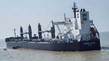 যুক্তরাষ্ট্র থেকে সরকারিভাবে গম আমদানি শুরু