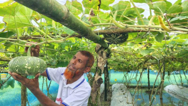 চাকরি ছেড়ে সফল কৃষি উদ্যোক্তা পটুয়াখালীর খলিল