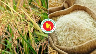 ৩৬ টাকা দরে ধান, ৪৯ টাকায় চাল কিনবে সরকার