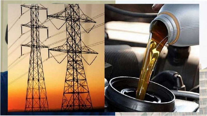 বিদ্যুৎ ও জ্বালানির সম্ভাব্য সংকট মোকাবিলায় সরকারের প্রস্তুতি