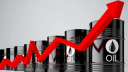 বিশ্ববাজারে জ্বালানি তেলের দাম বেড়েছে ২০ শতাংশ
